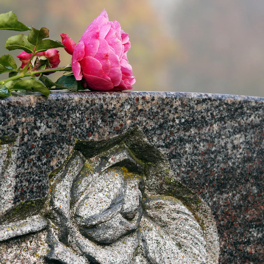 Ihr kompetenter Steinmetz in der Elsbeerregion